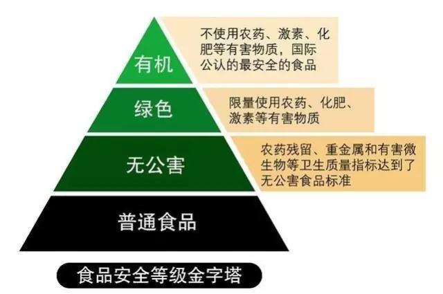 China Food Safety Pyramid - Organic at the Top
